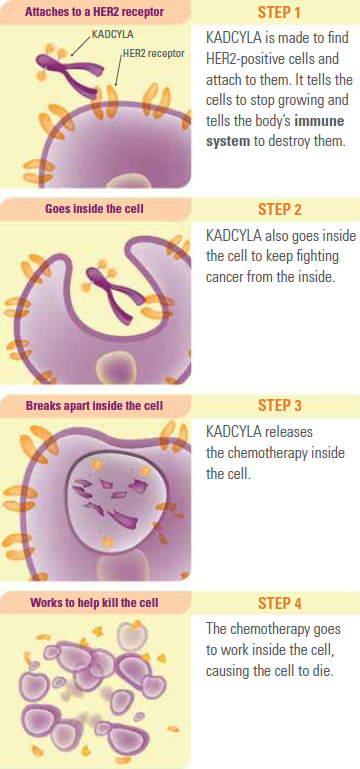 How does Kadcyla work?